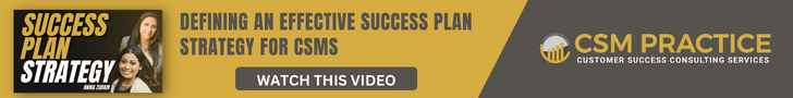 Defining an Effective Success Plan Strategy for CSMs